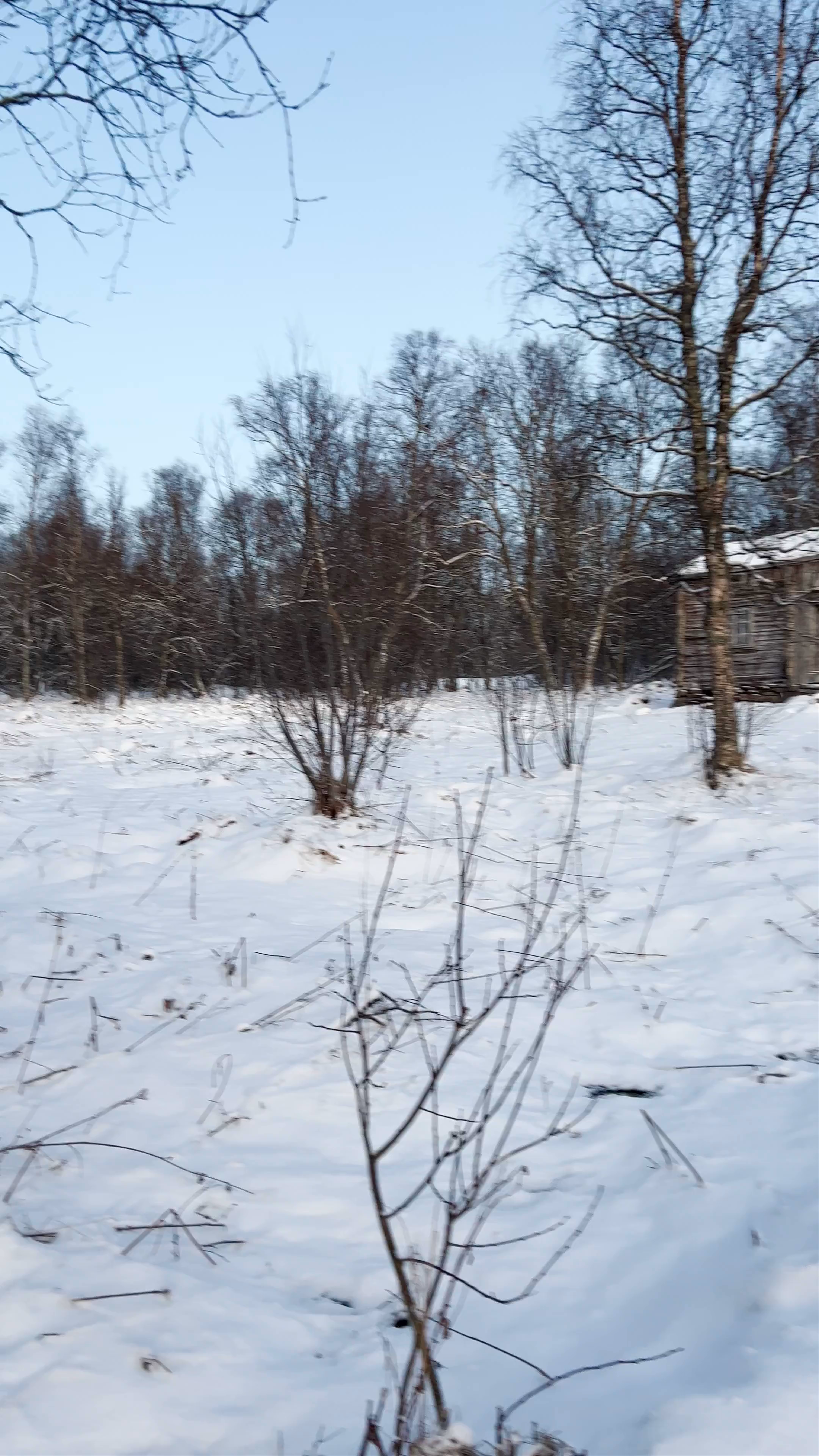 Winter Serenity in Mortengården, Tromsø: Snow-Covered Nature Escape