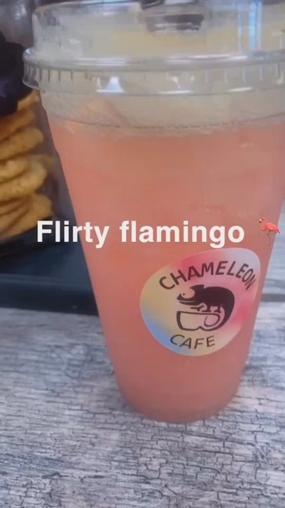 Chameleon Cafe Akron - Summer Drink - Cafes Near Me - Akron, Ohio