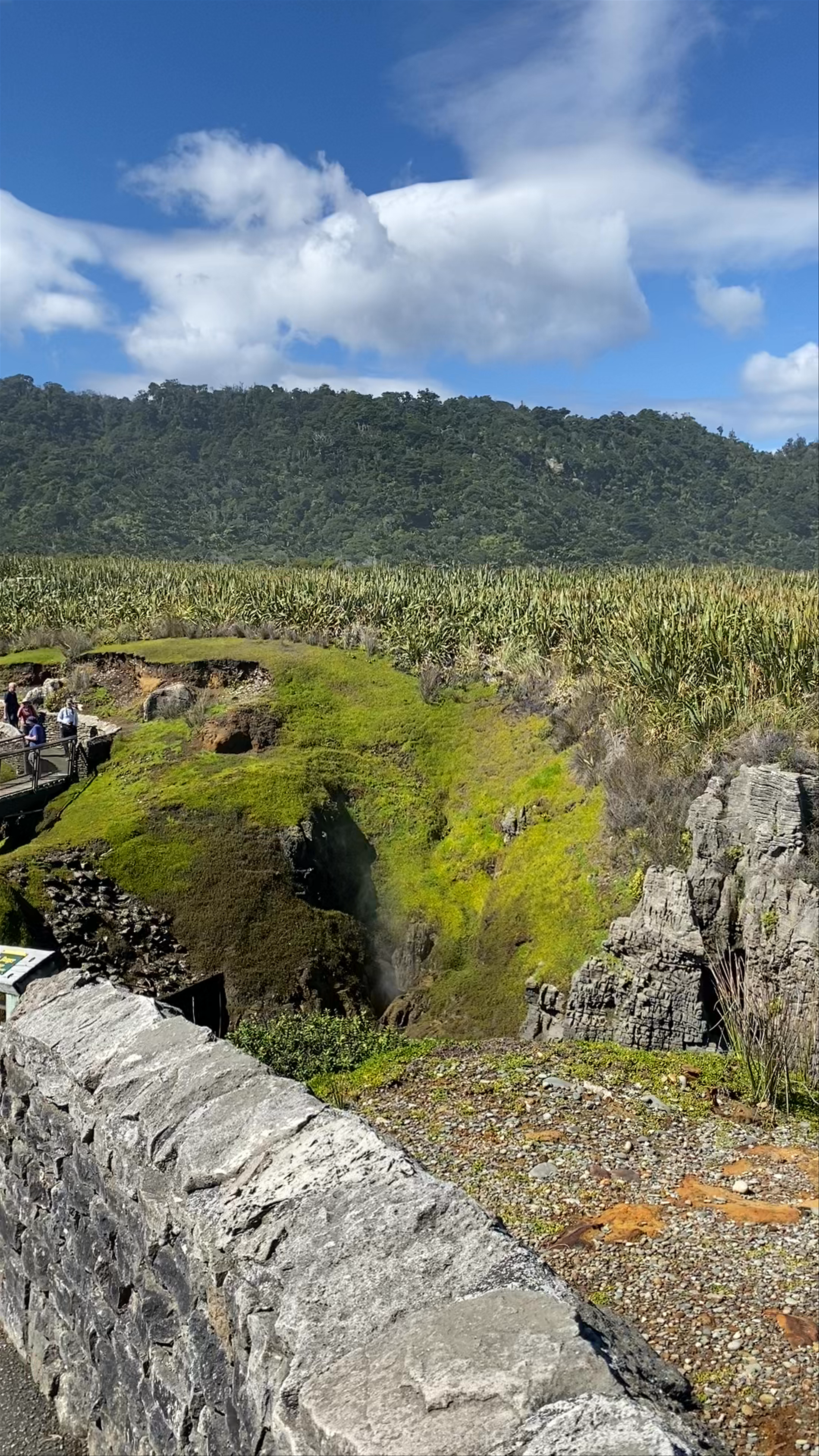 Pancake Rocks and Blowholes Track