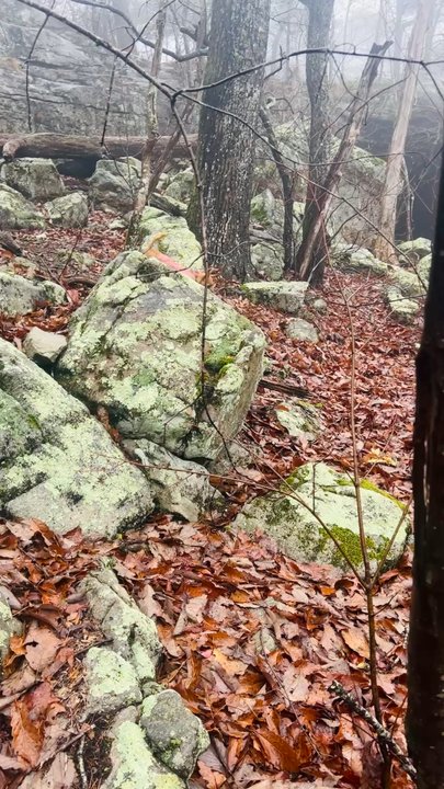DeSoto State park - Parks Near Me - Fort Payne, Alabama