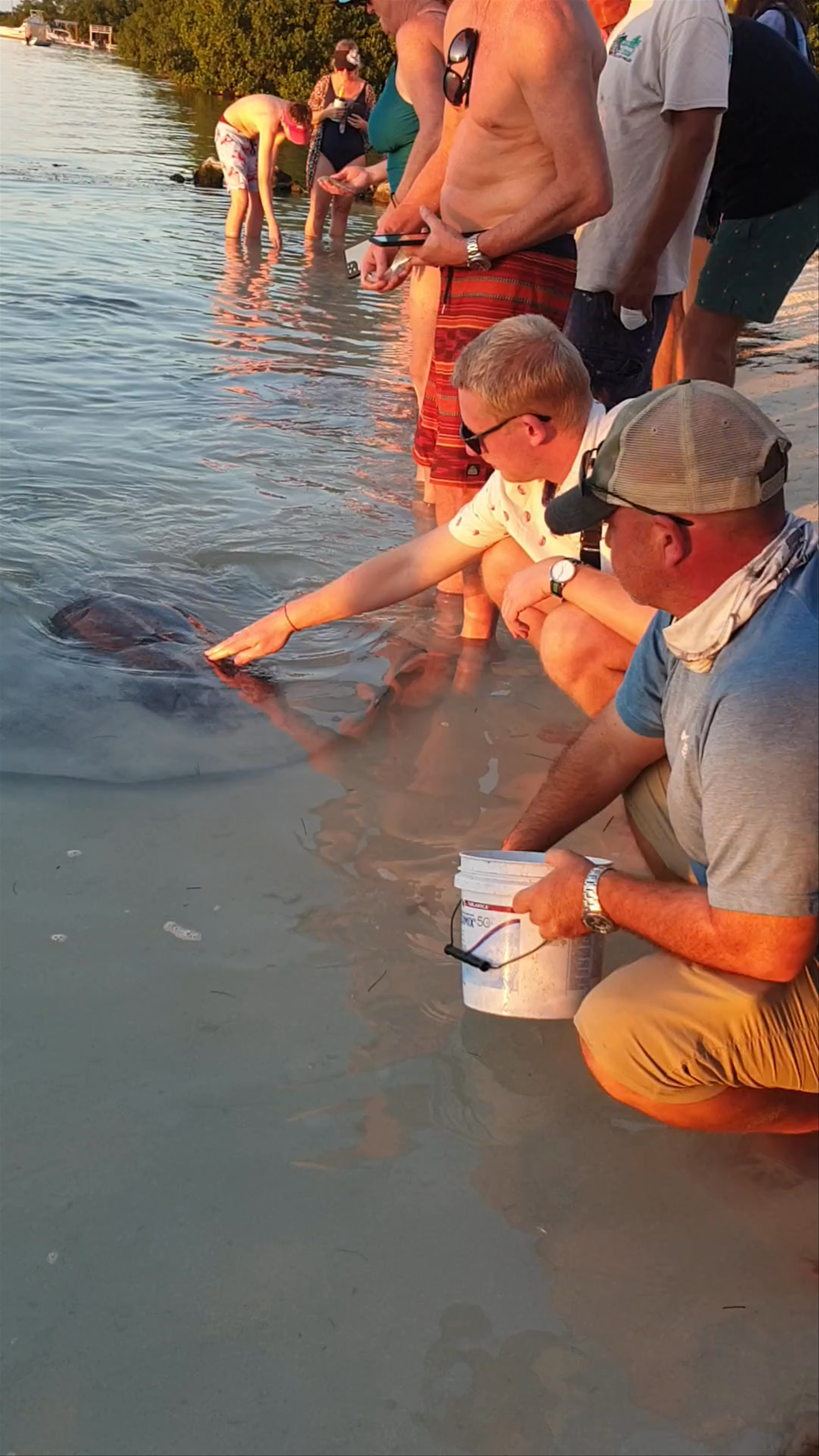 Iguana Reef Beach Bar