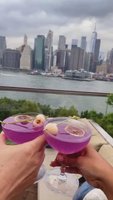 Harriet's Rooftop - Brooklyn, NY