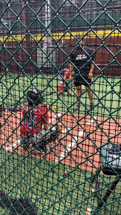 D-BAT Wesley Chapel - Batting Cages Near Me - San Antonio, Florida