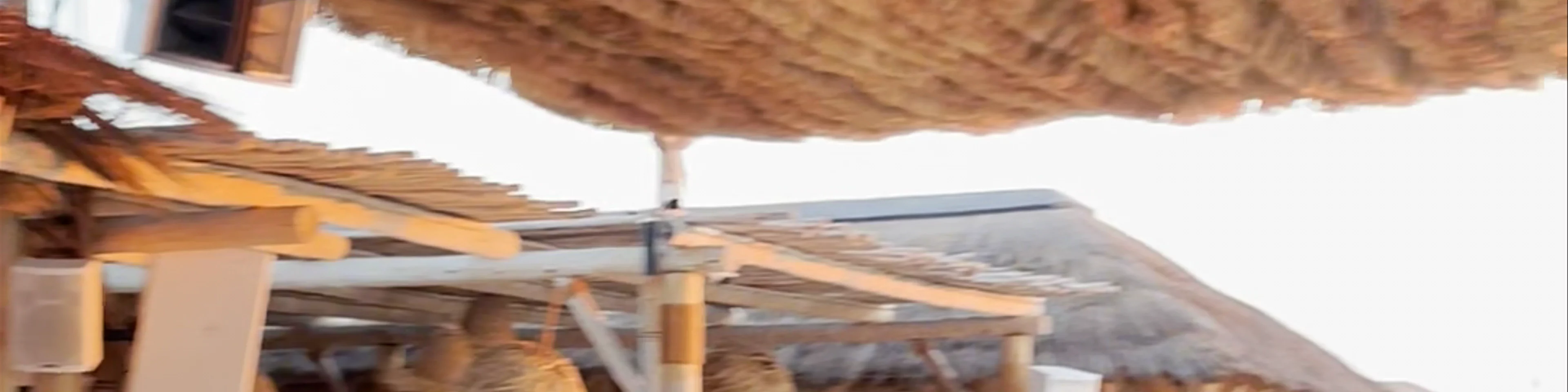 Lumi Beach - شارع المعلا - Umm Al Quwain - United Arab Emirates