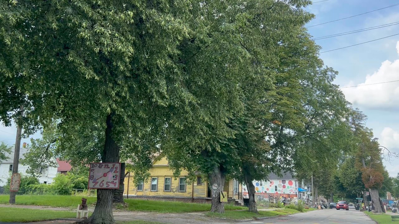Heidelberg Project - Art Galleries Near Me - Detroit, Michigan