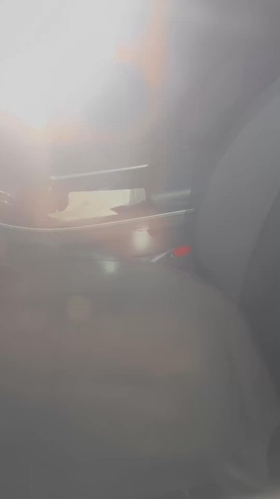 Avis - Roaches in the car - Car Rental Near Me - Carolina, Puerto Rico