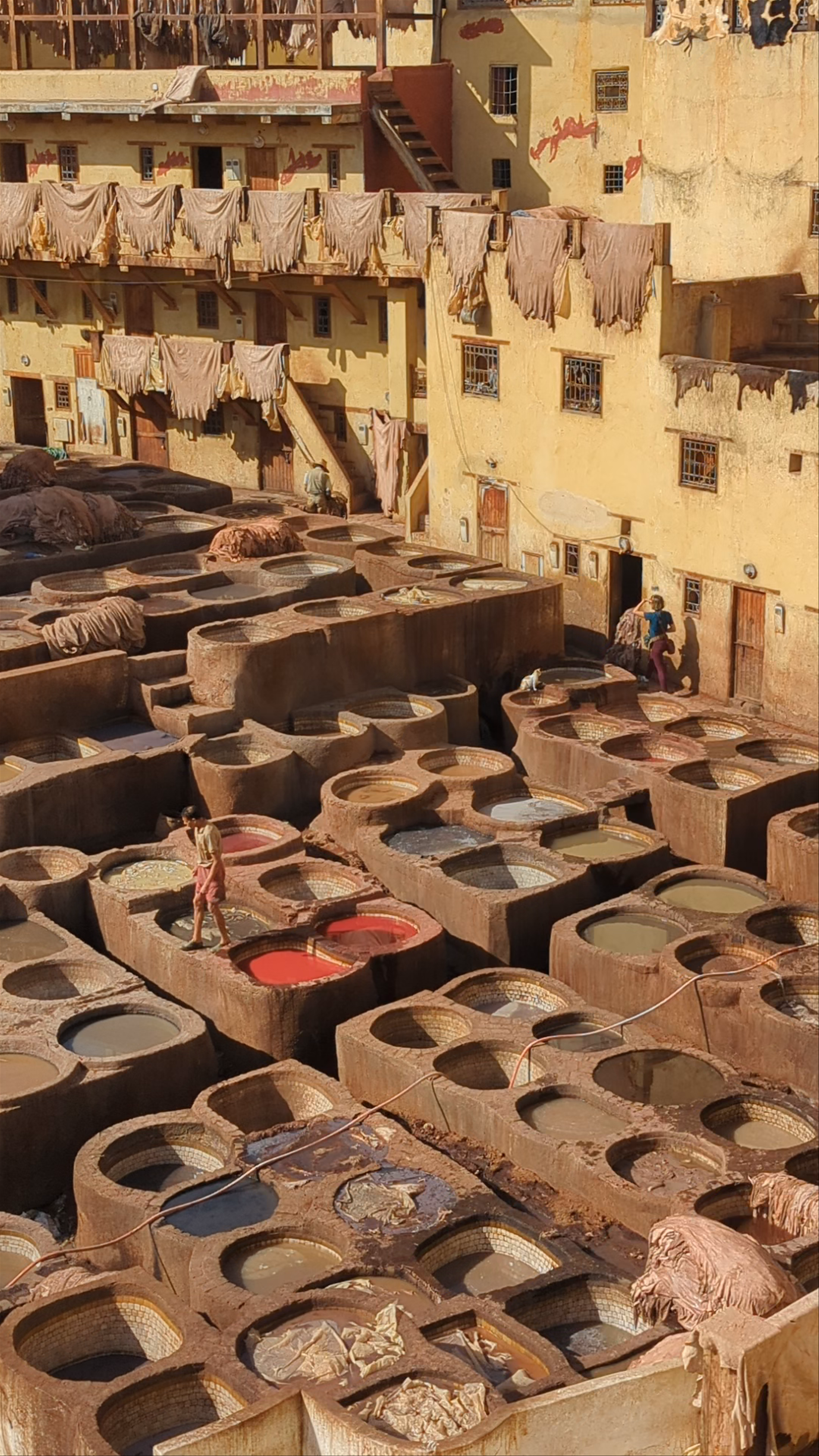 Chouara Tannery