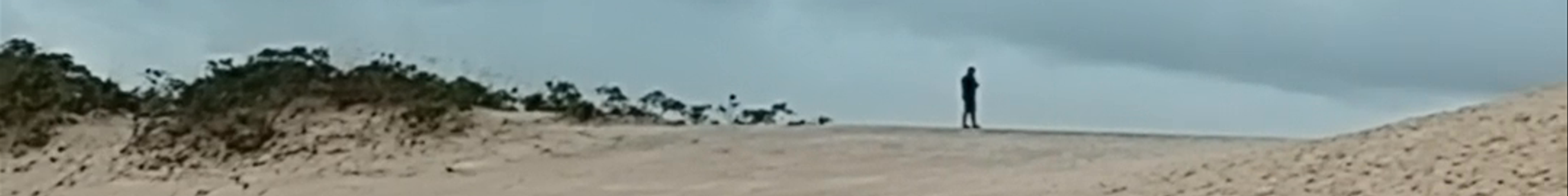 Tours & experiences in Maranhão