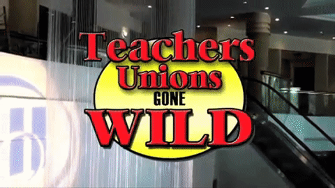 Video Thumbnail Loop