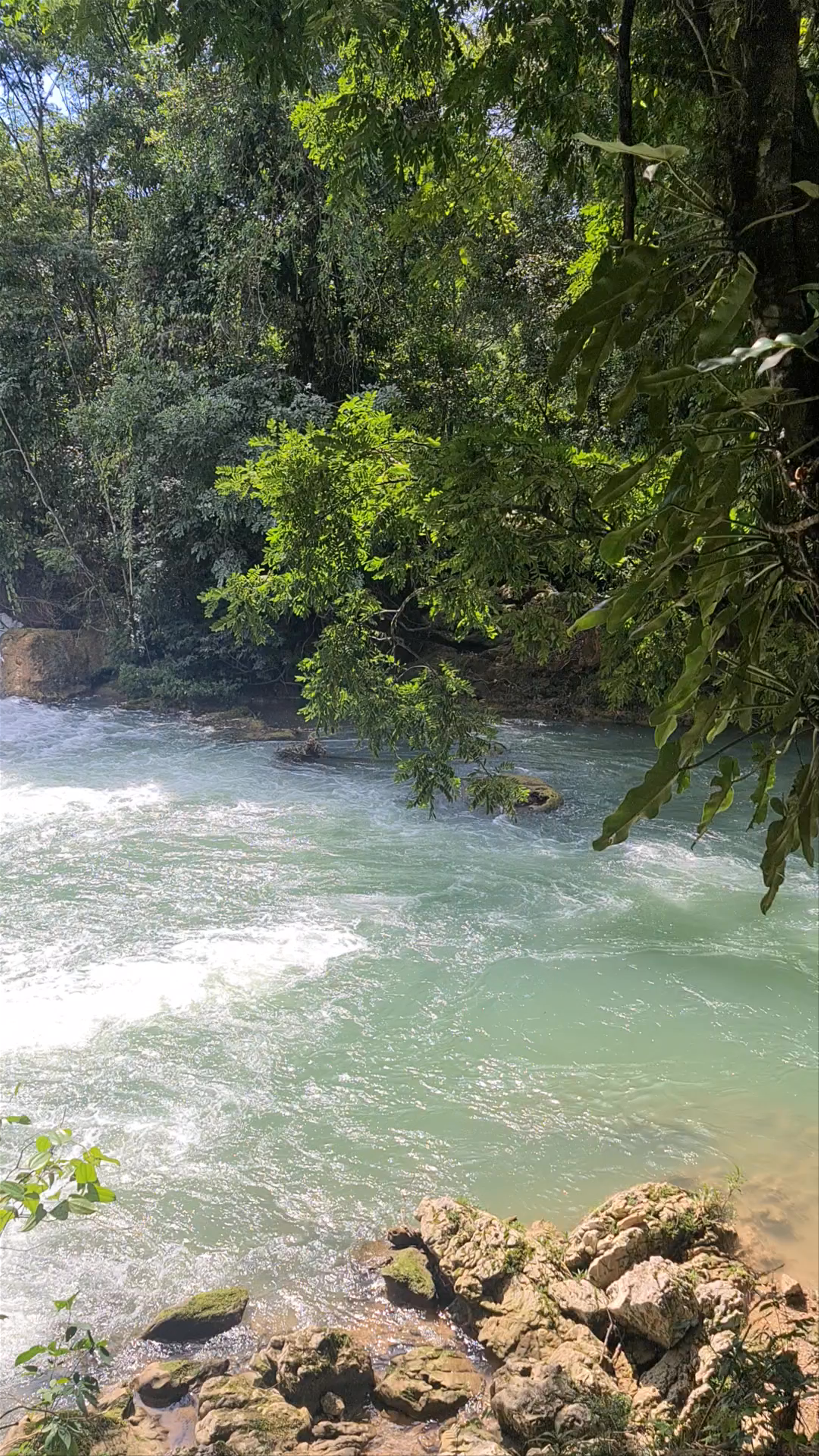 Enchanting Cascadas de Agua Azul: Nature’s Turquoise Marvel in Chiapas, Mexico
