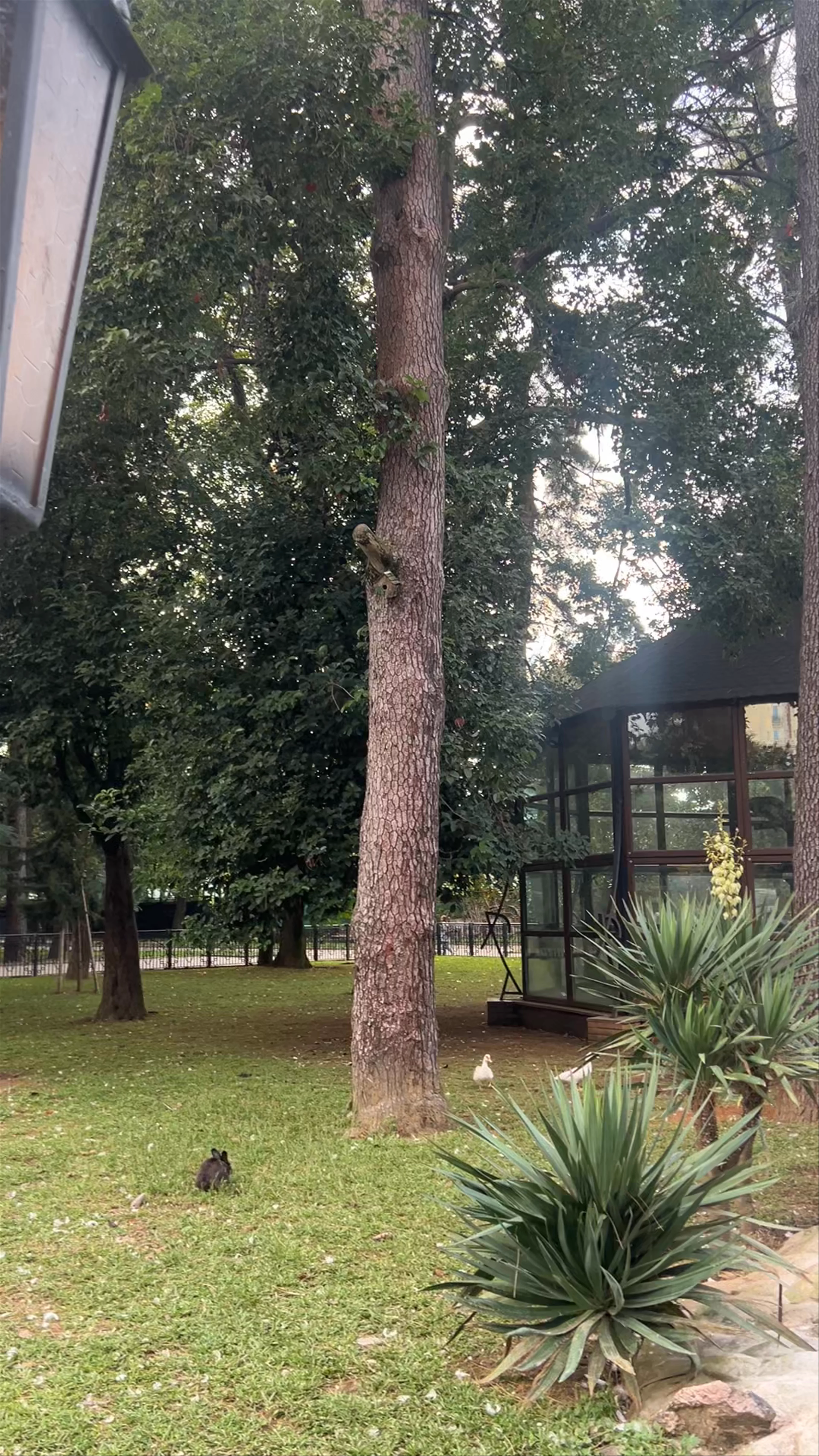 Bird Zoo, Batumi Boulevard