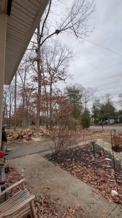 Wingates Tree Service - Tree Services Near Me - Sewell, New Jersey