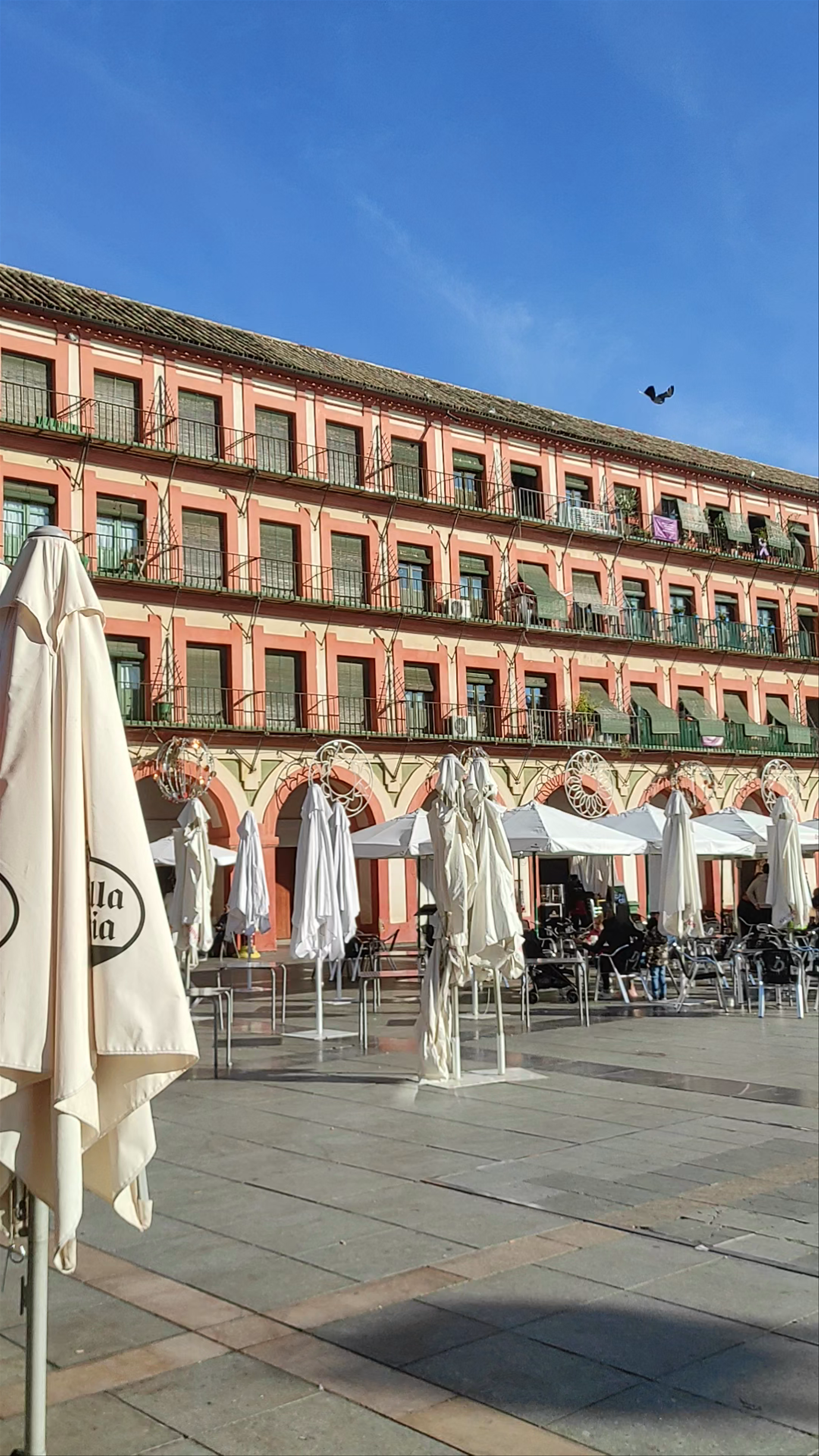 Sunlit Stroll Through Plaza de la Corredera, Córdoba