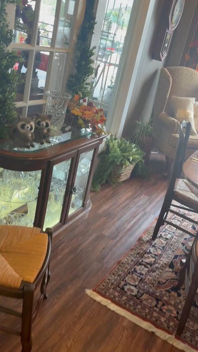 THE ANTIQUE GALLERY OF HOUSTON - Updated July 2026 - 268 Photos & 85 ...