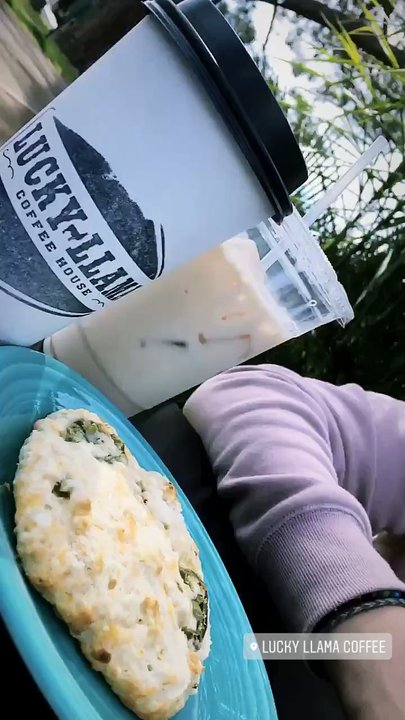 Lucky Llama Coffee - Hot chai, iced chai, and a rich, buttery, (yet light and airy), flavorful cheddar jalapeño scone. Sooo good. - Acai Bowls Near Me - Carpinteria, California