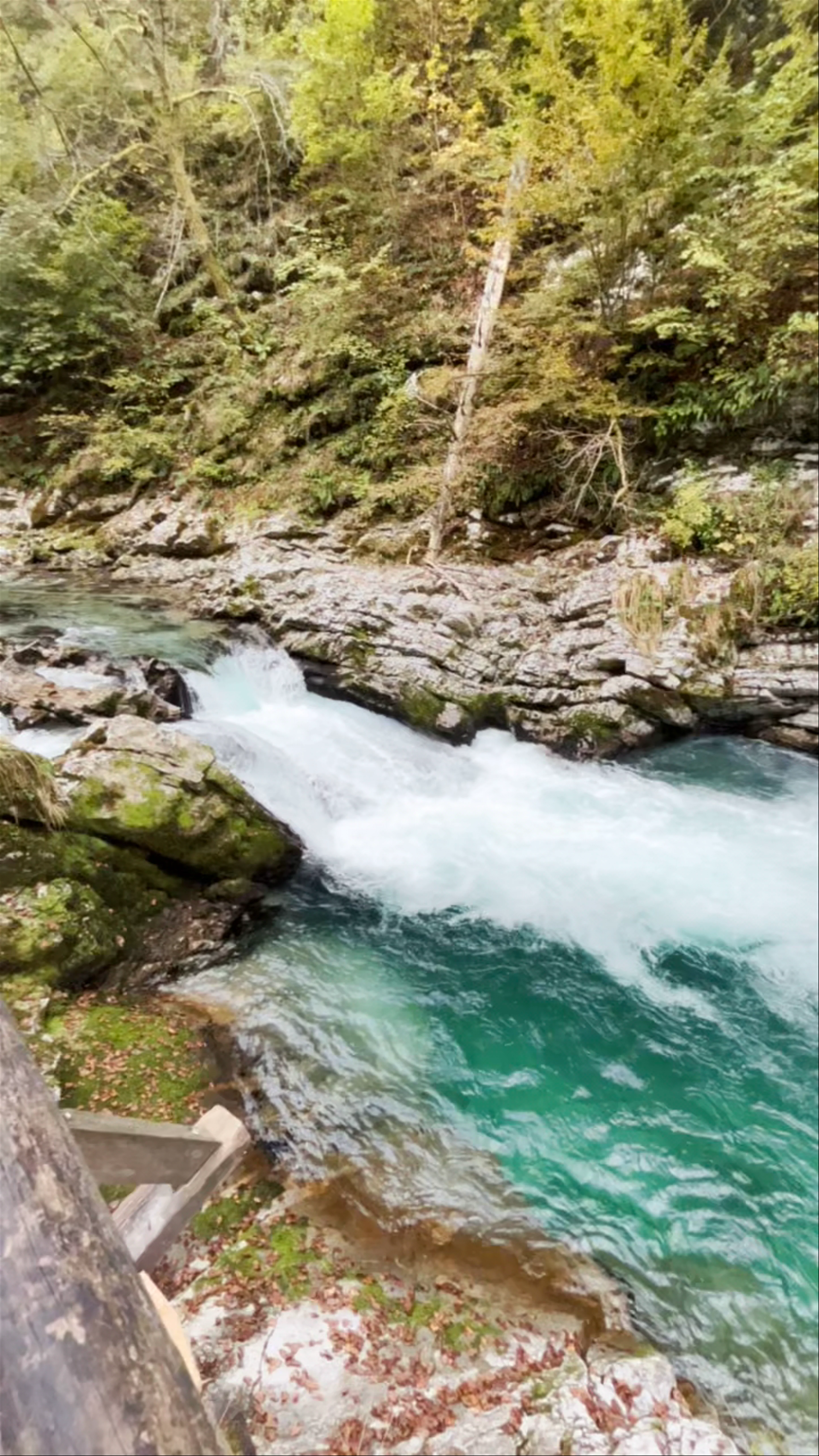 Vintgar Gorge