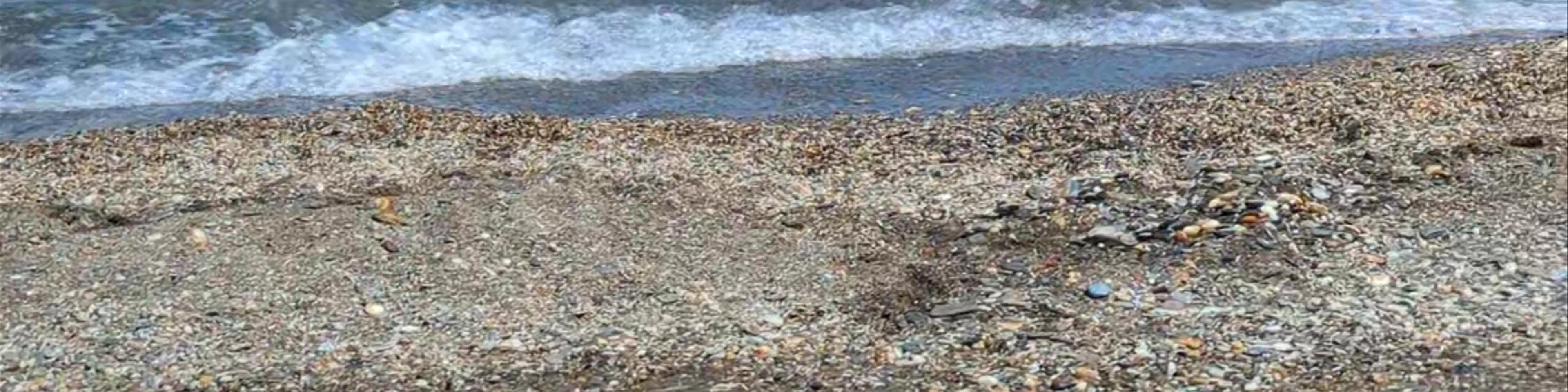 Paralia Therma