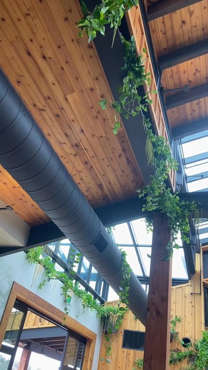 Haven Farm + Table - Gorgeous ceiling - New American Near Me - Encinitas, California