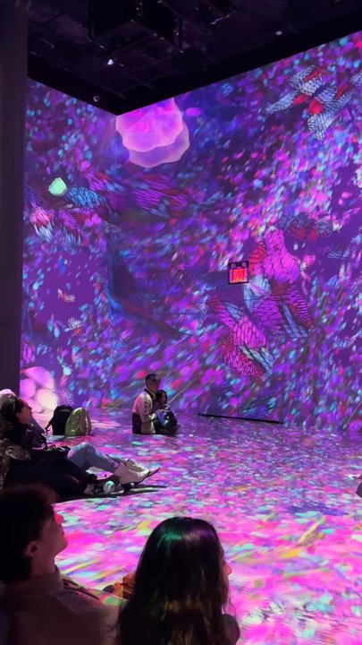 ARTECHOUSE New York - Art Museums Near Me - New York, New York