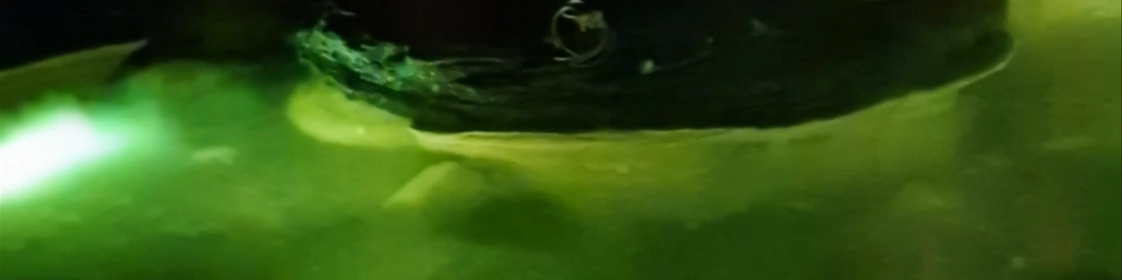 La Tanière du Dragon
