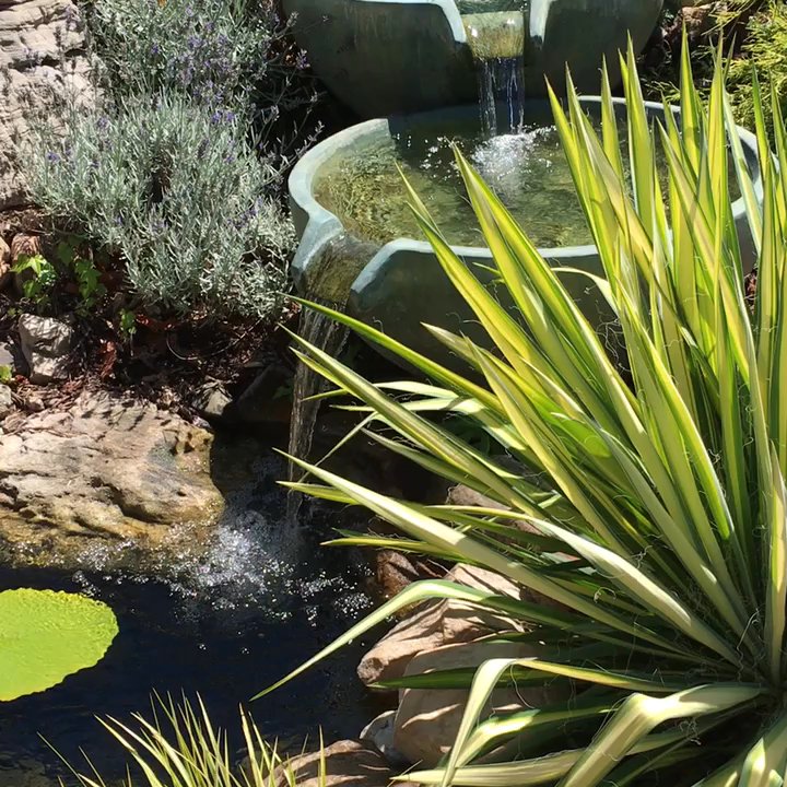 Pike Nurseries - Motivated! - Nurseries & Gardening Near Me - Matthews, North Carolina