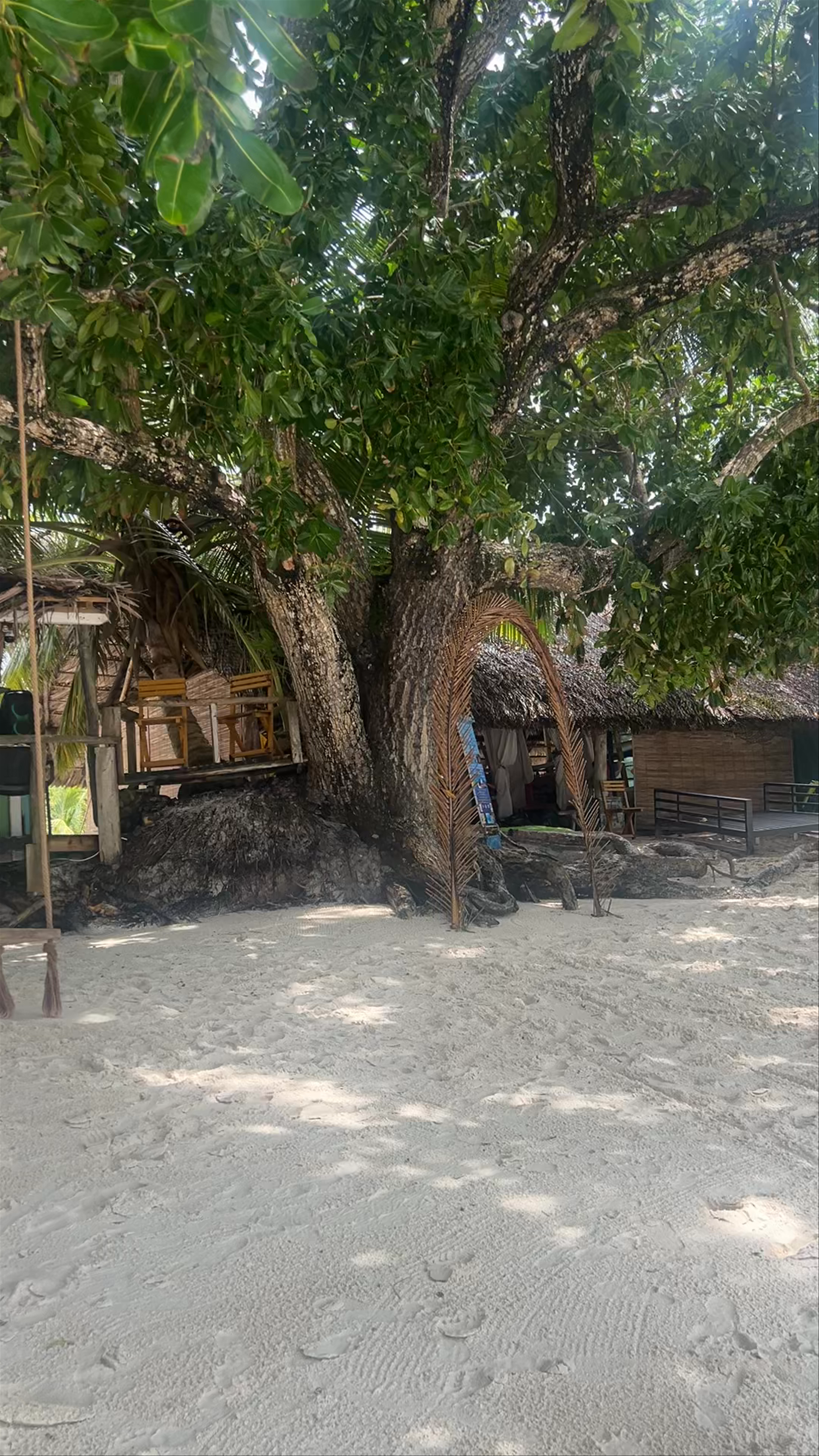 KOKOLOKO BEACH BAR: Relaxed Coastal Escape at Anse Lazio, Seychelles