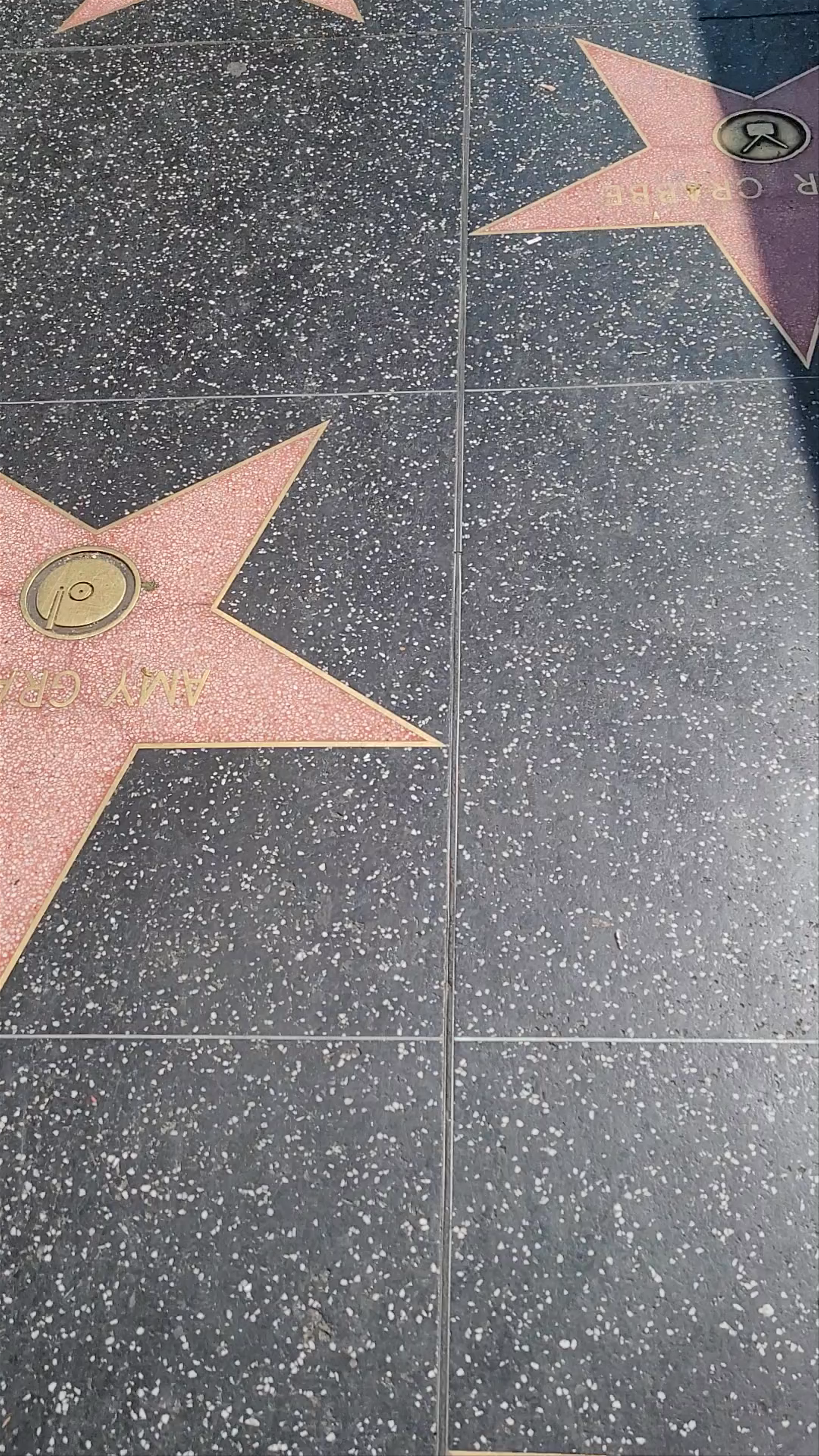 Walking the Hollywood Walk of Fame in Los Angeles