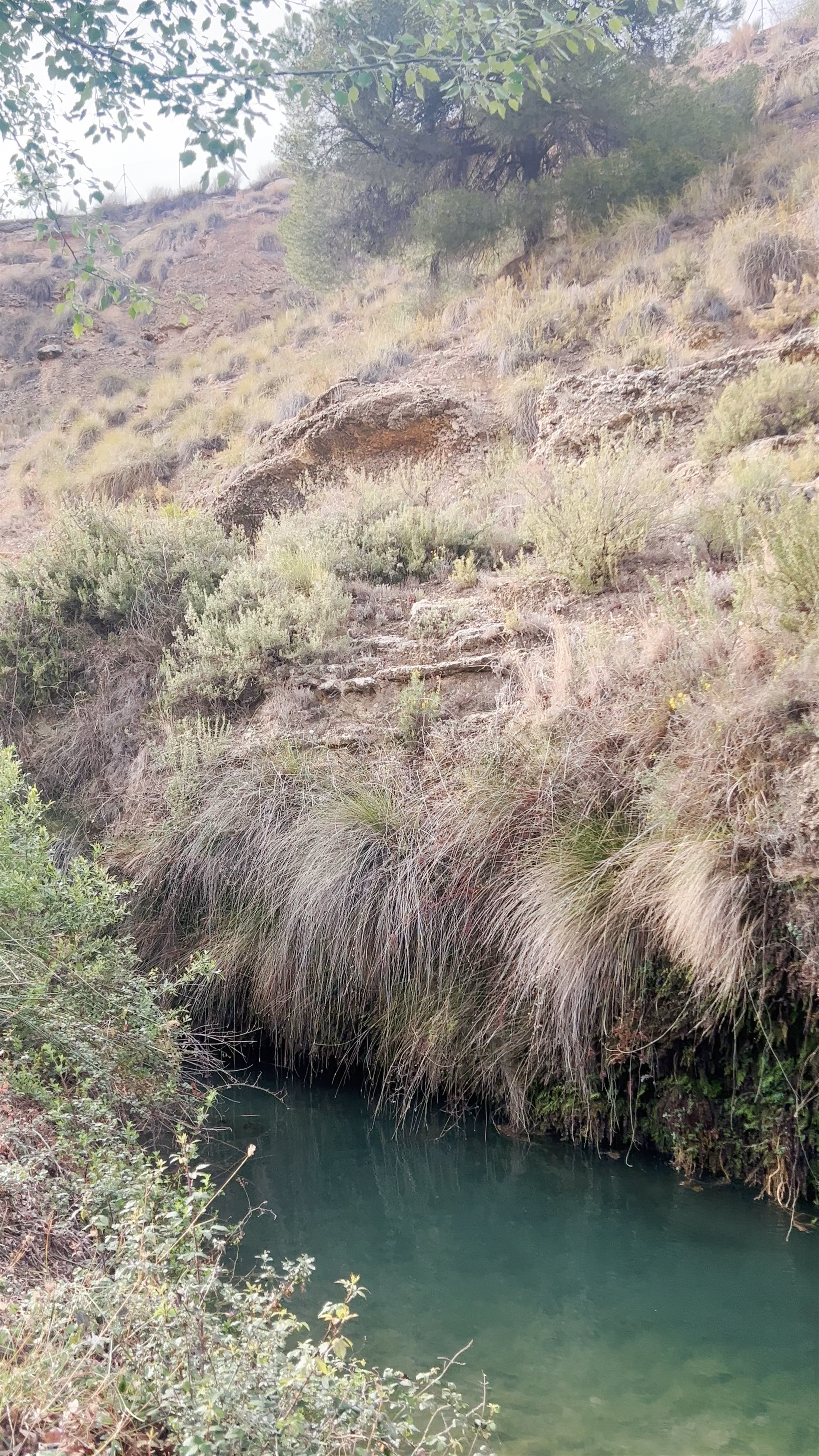 Salto Del Usero