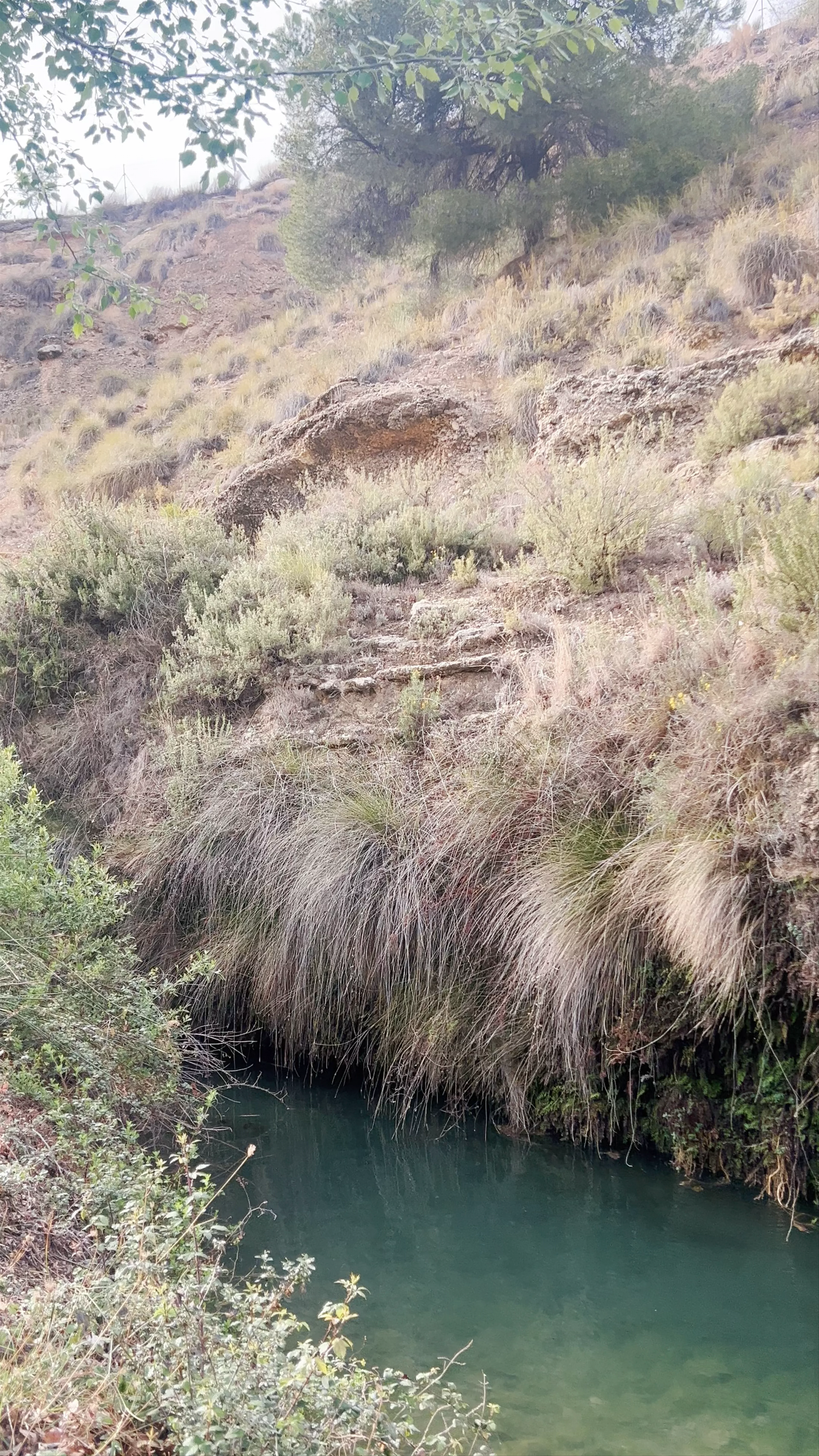 Salto Del Usero, Calle del Río, Bullas, Spain