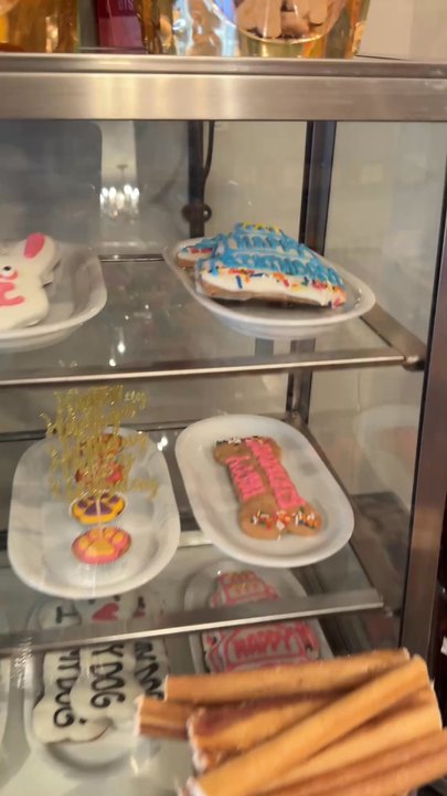 Zoomies - Birthday biscuits - Pet Stores Near Me - New York, New York