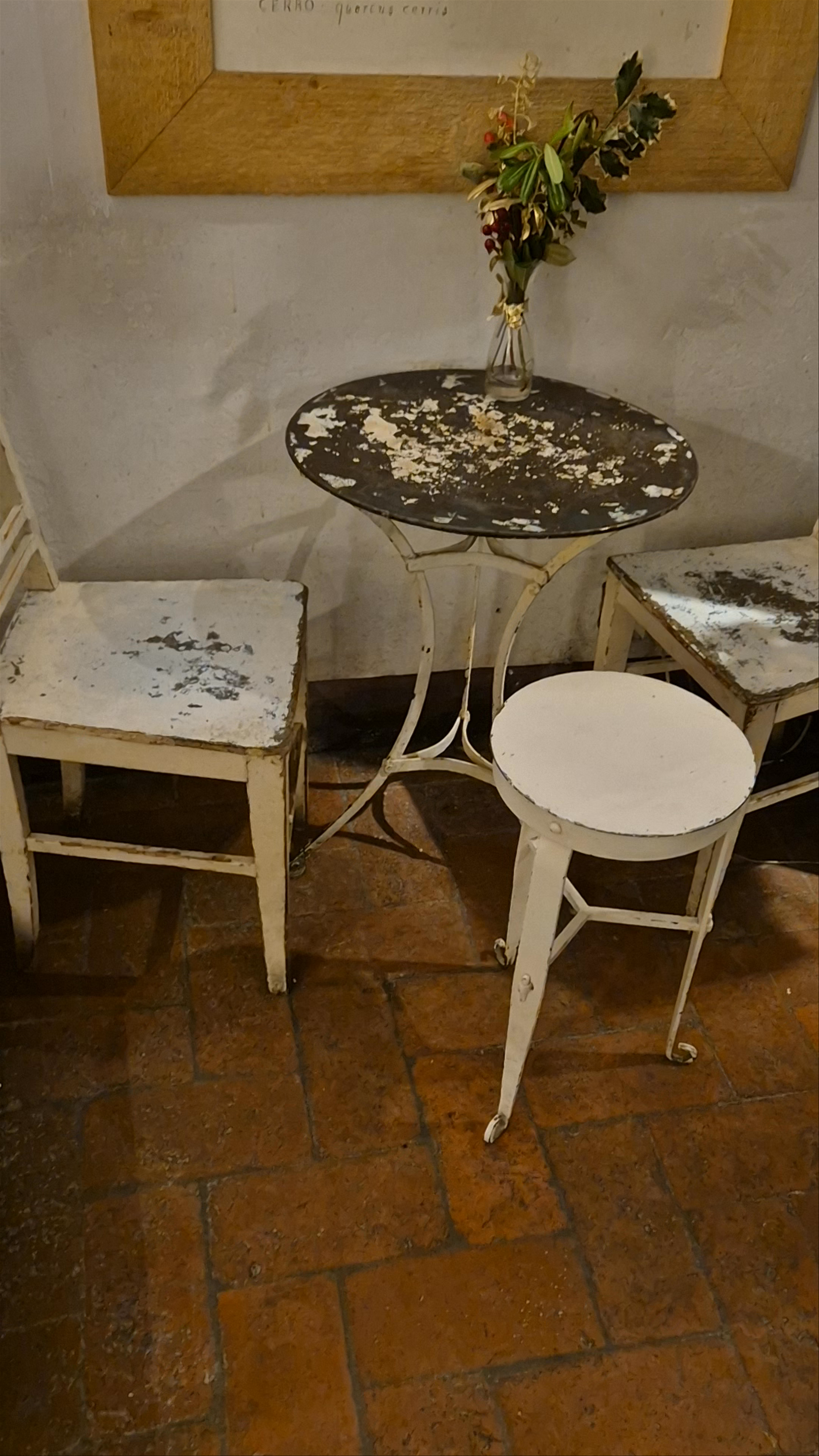 S.forno