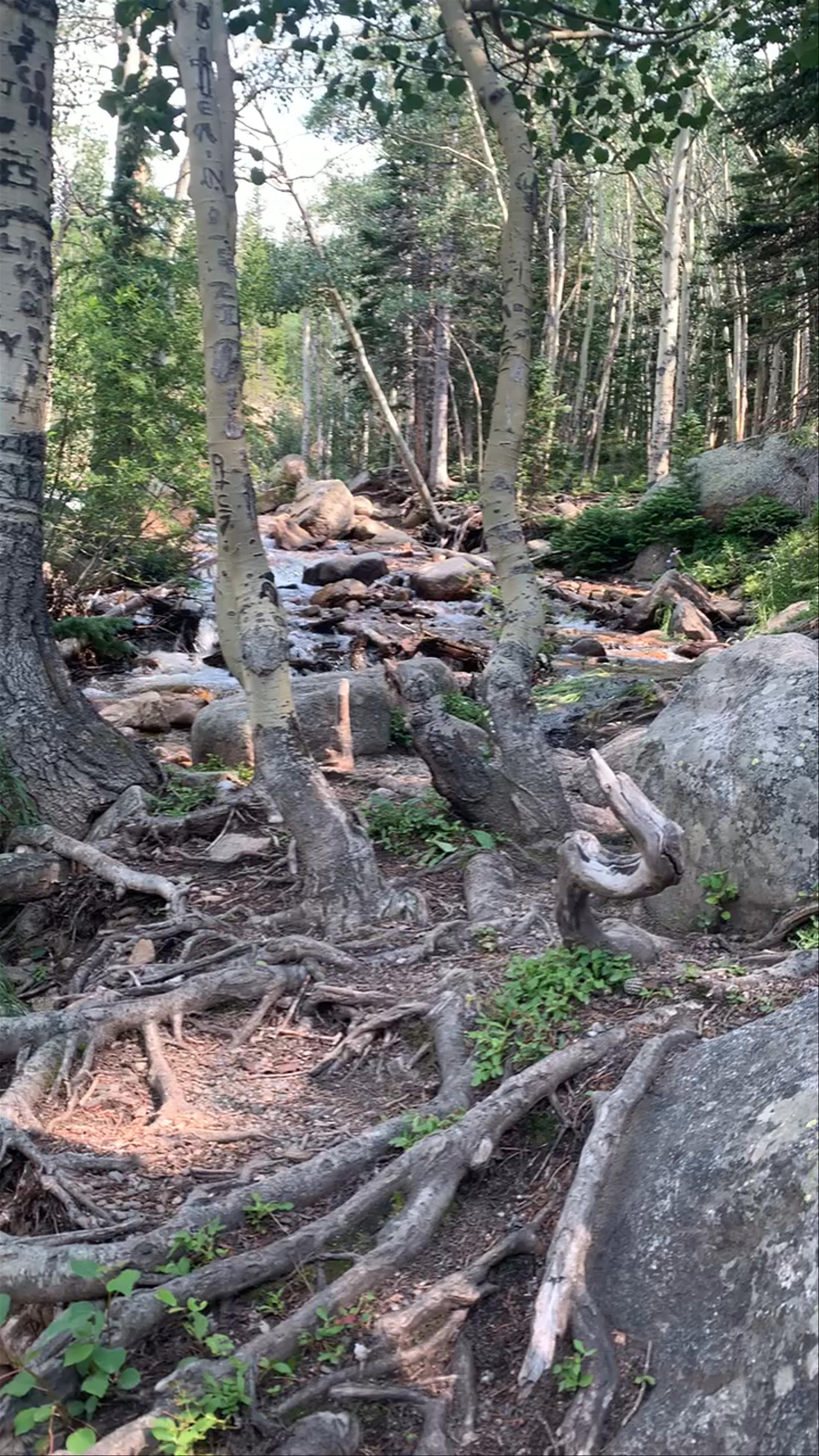 RMNP Multiple Spots