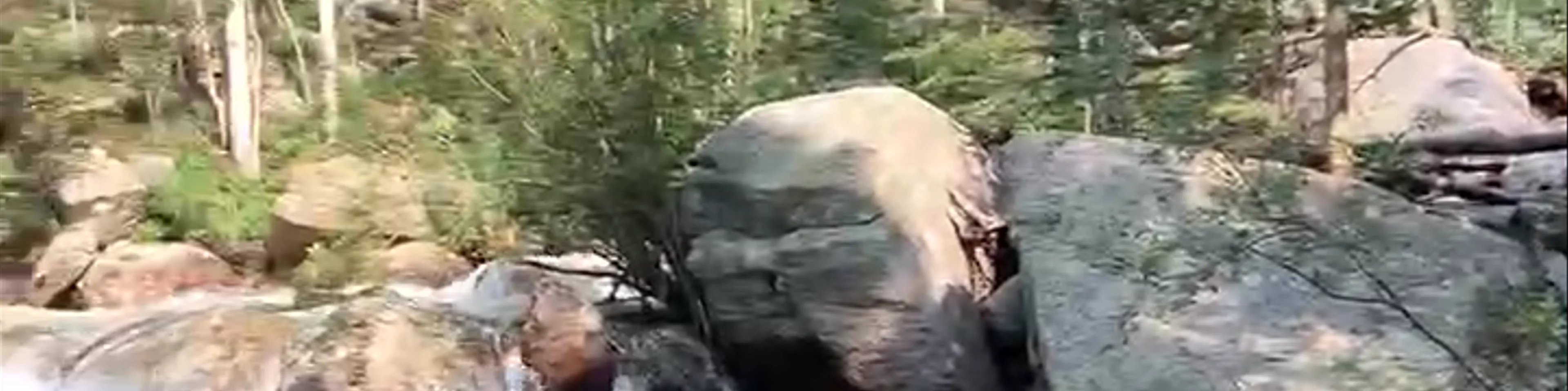 RMNP Multiple Spots