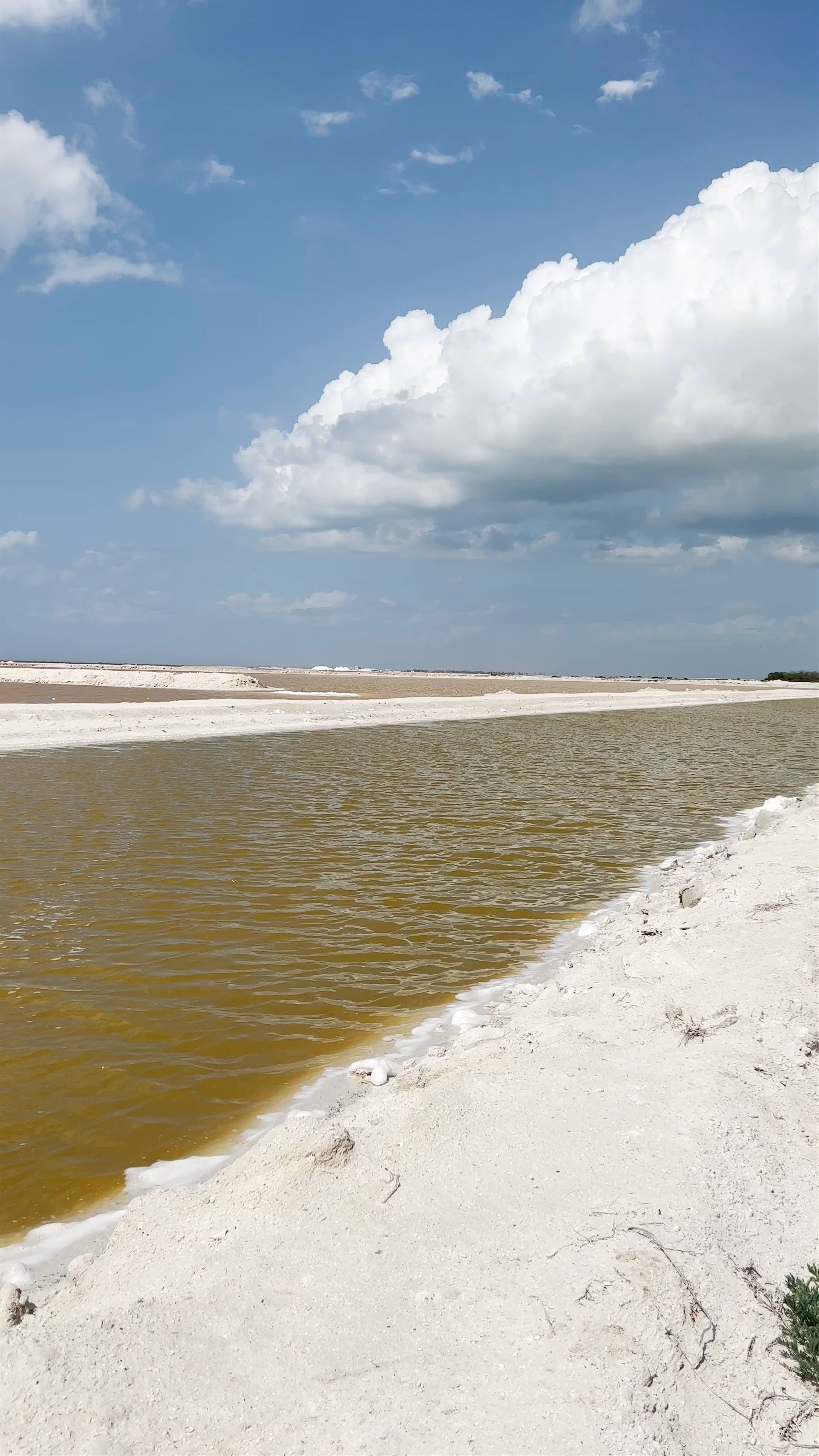 Las Coloradas Yucatán Con Hana Tours