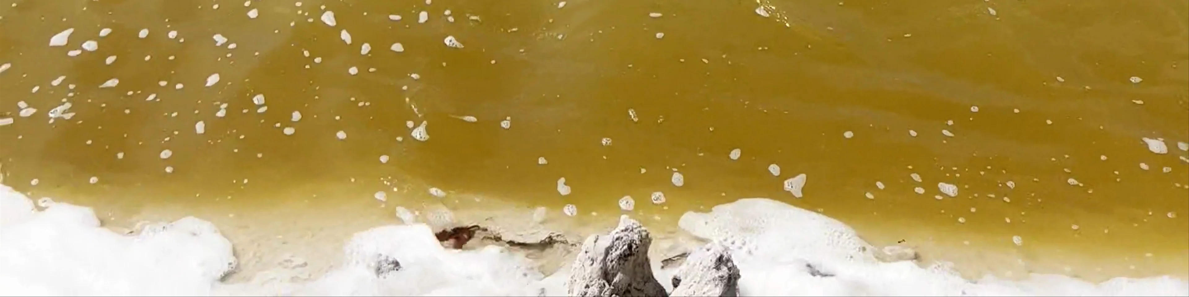 Las Coloradas Yucatán Con Hana Tours