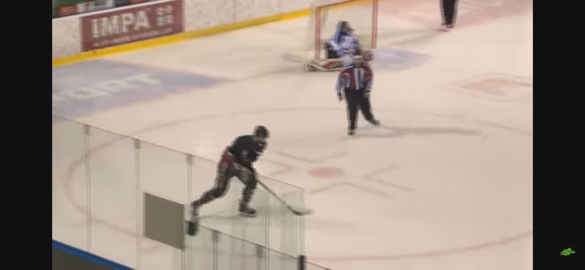 Michal Stec's Dazzling Goals & Stickhandling Highlights | CFR Pforzheim