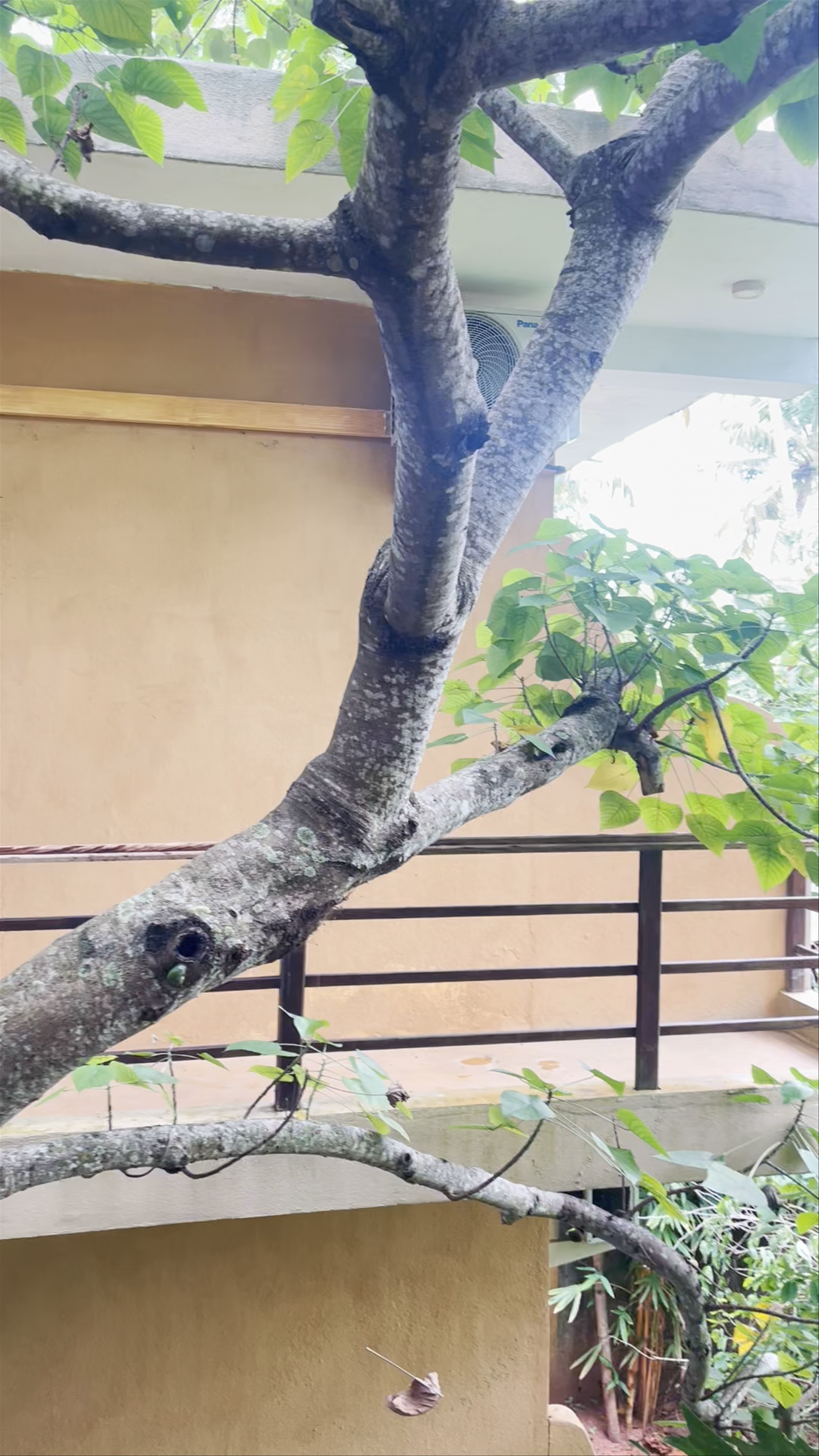 Onilwe Resort Weligama