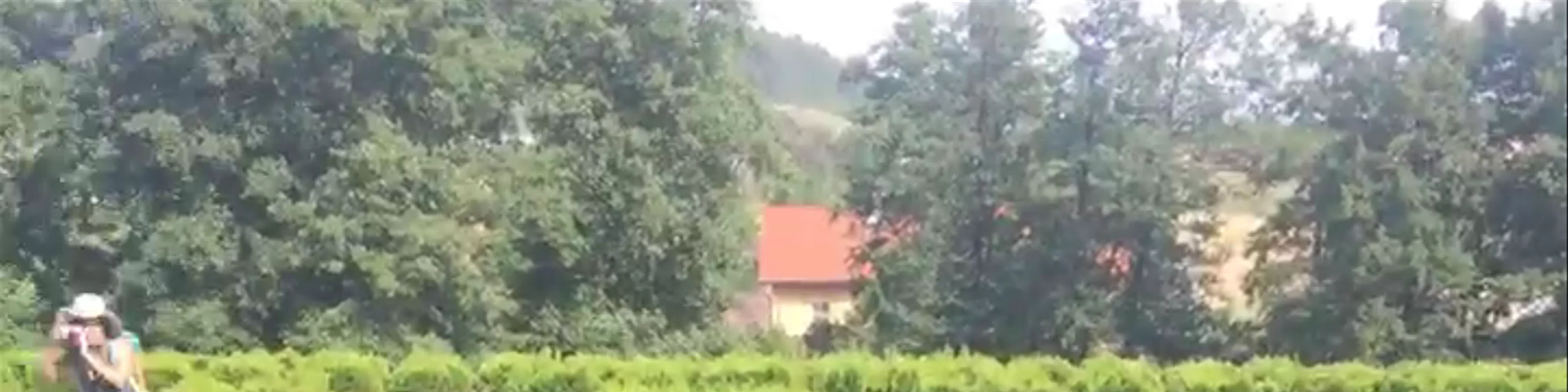 Nové Hrady Maze