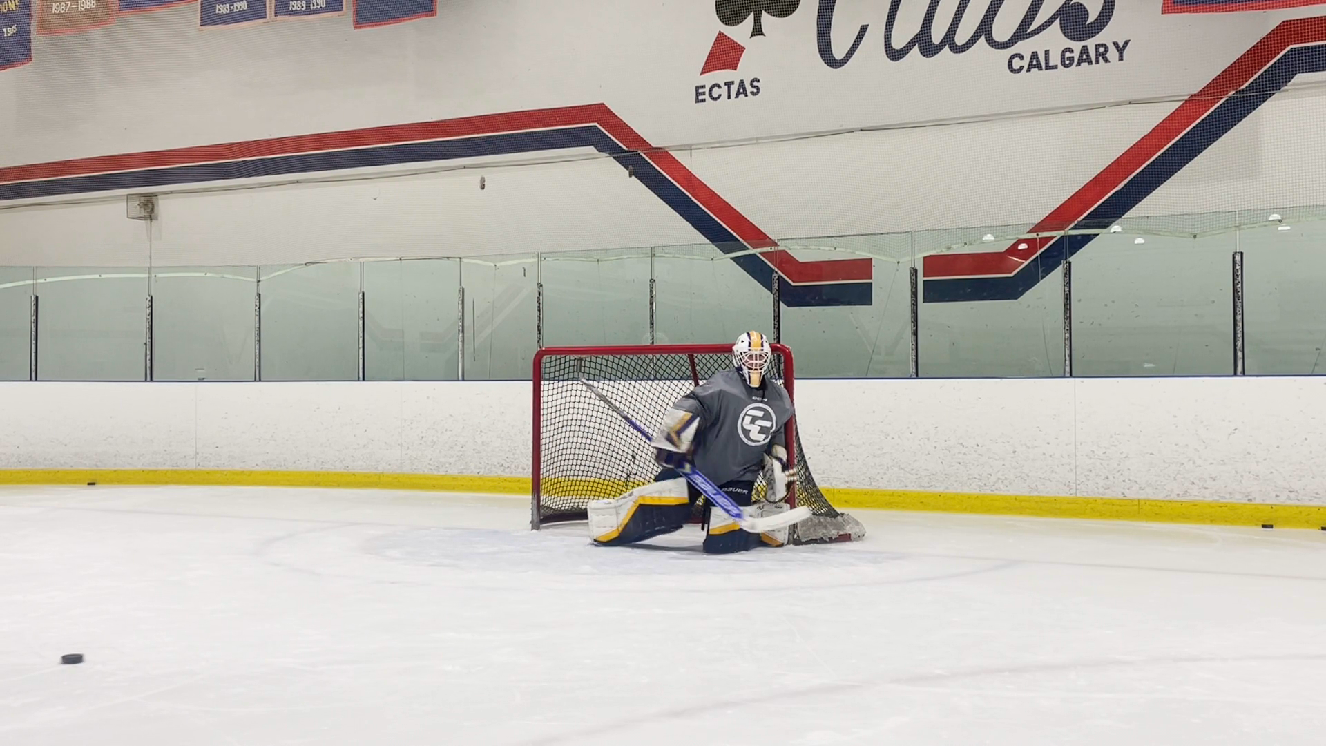 Charlie Terlesky: PUCK TRACKING • POSITIONING • CREASE MOVEMENT