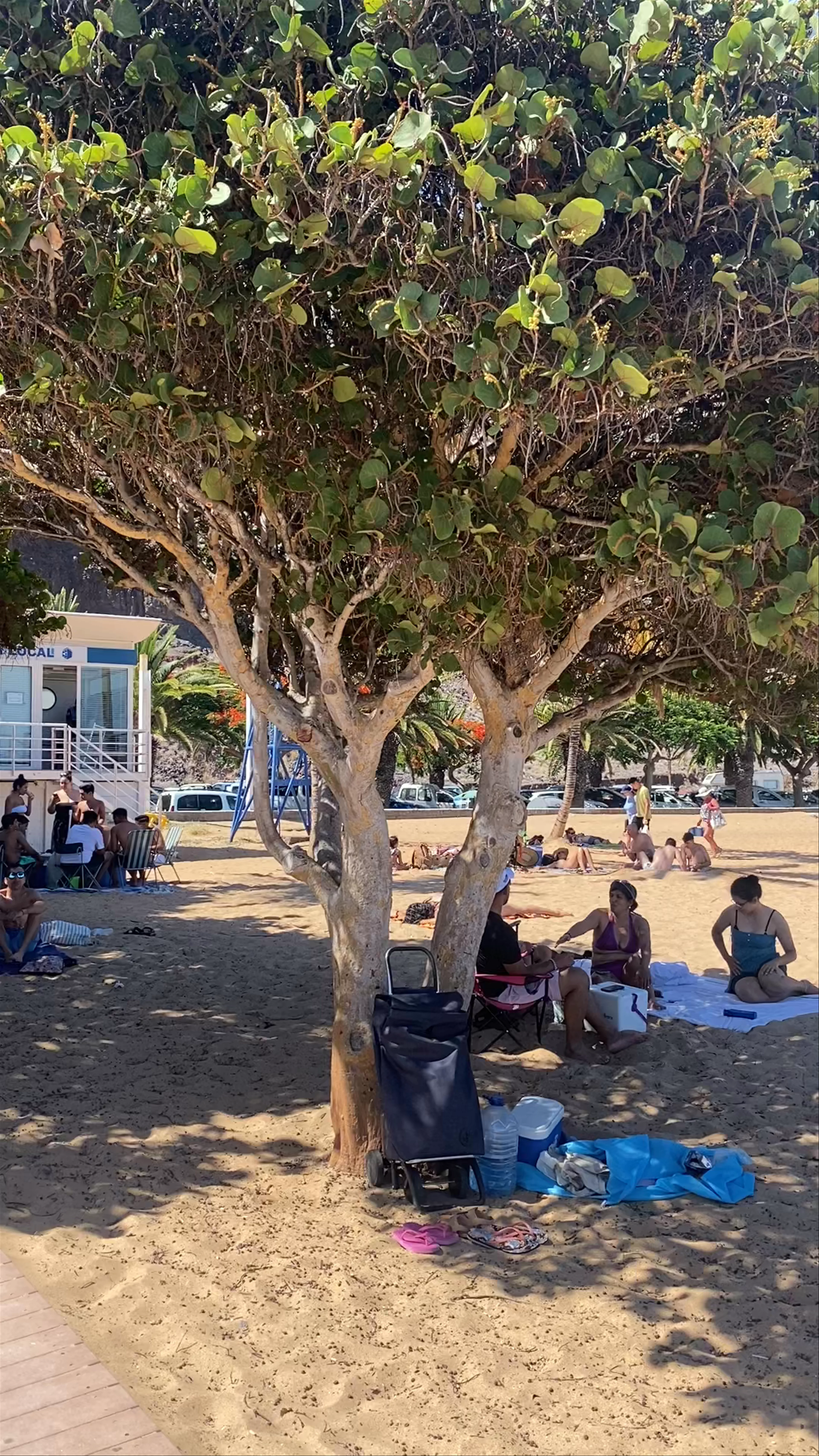 Playa Las Teresitas