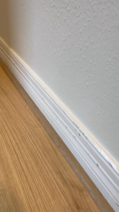 All Floors & More - Damage caused Bu carpet installers after all repairs were done and freely painted - Flooring Near Me - Magnolia, Texas
