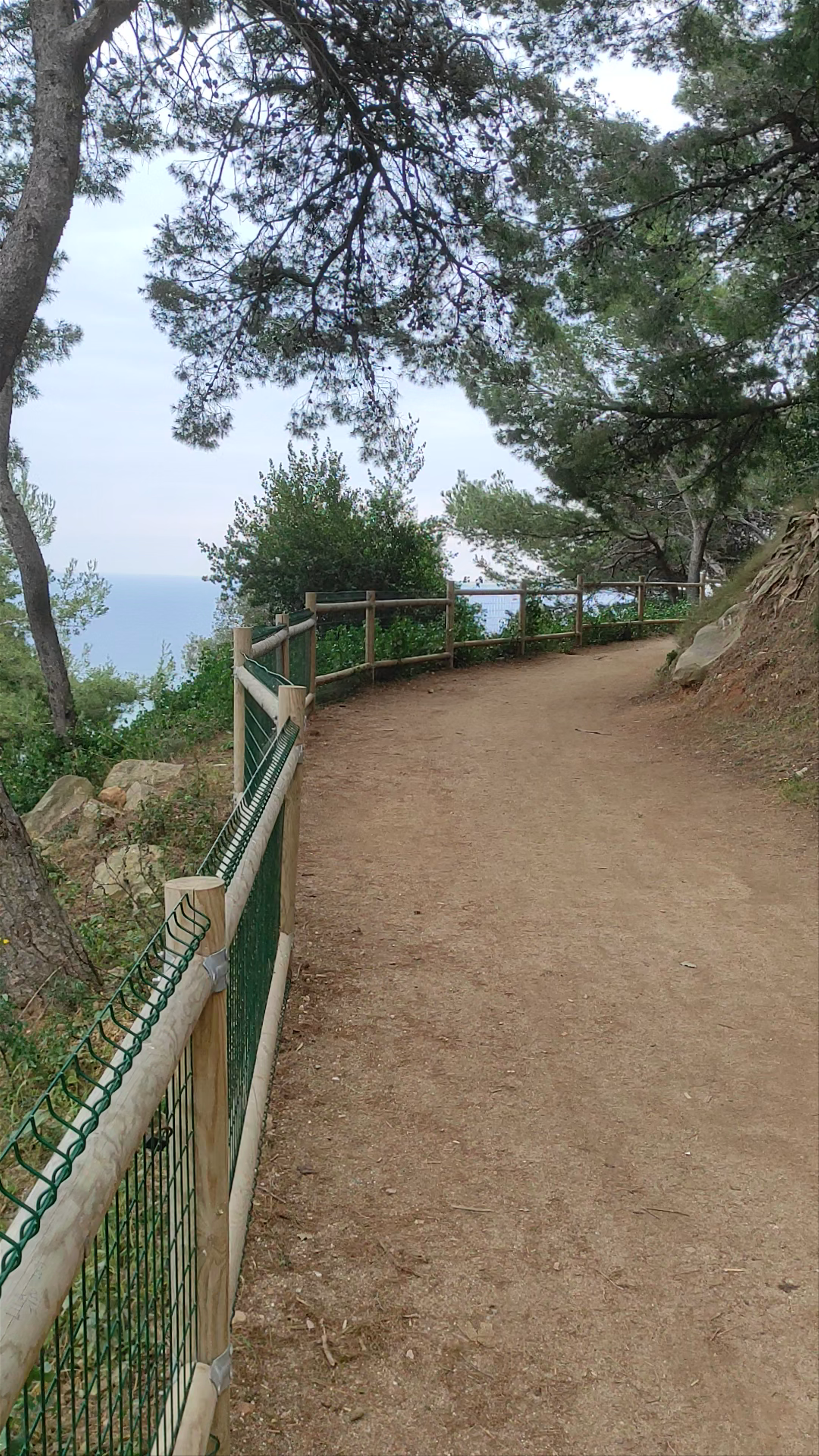 Breathtaking Views from Mirador de Montjuïc, Barcelona