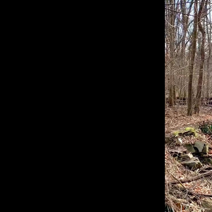 Glover Archbold Trail - Hiking Near Me - Washington, DC, District of Columbia