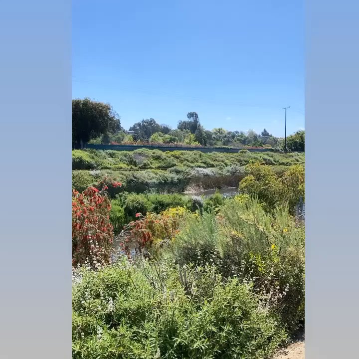 Los Angeles River Bicycle Path - Bike tours Near Me - Long Beach, California