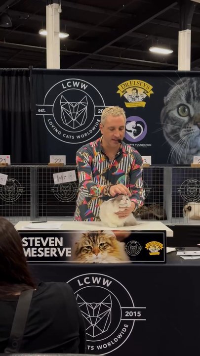 Ragdolljjsweeti - Pet Breeders Near Me