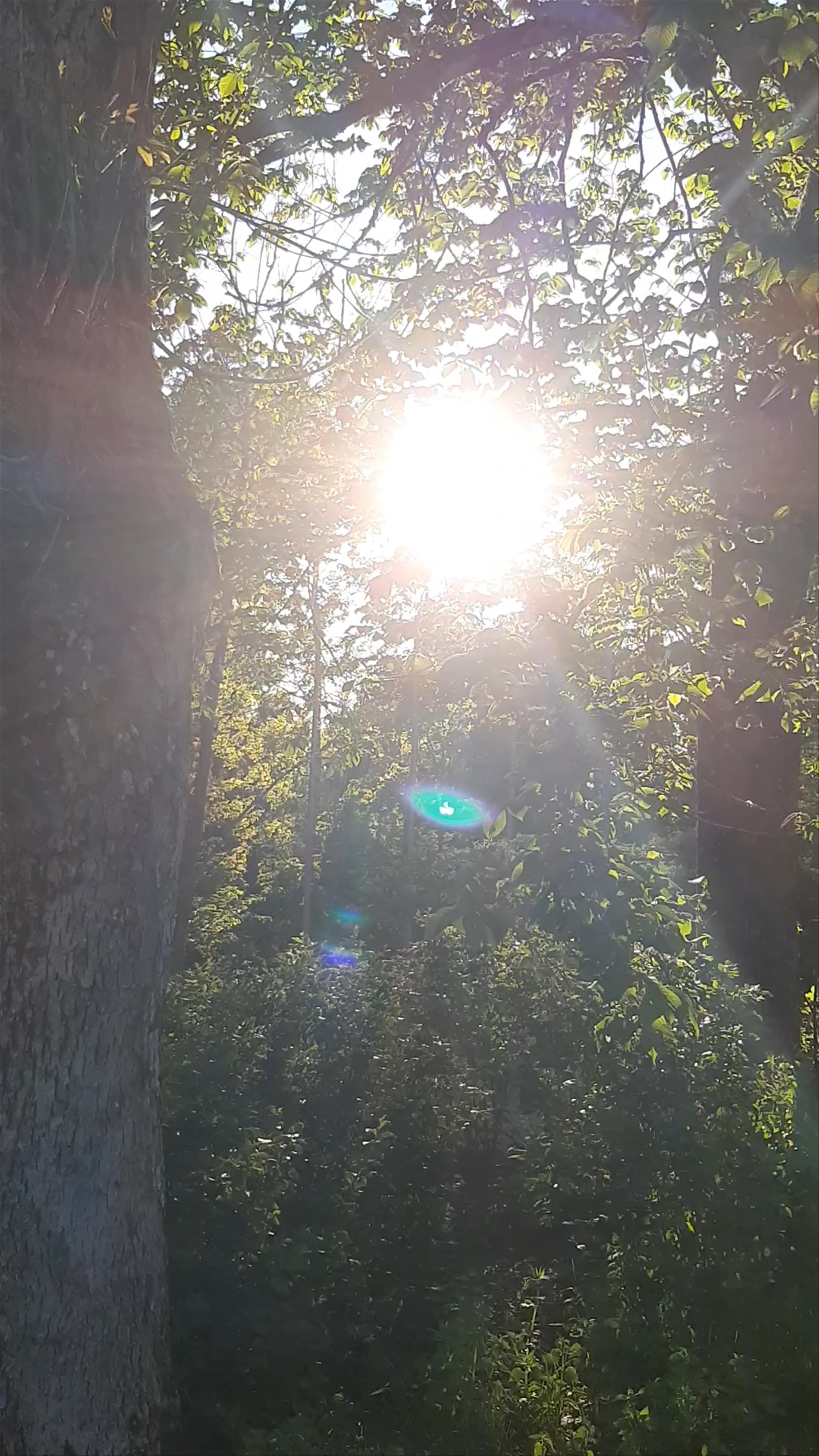 Majvik Art Nouveau Castle