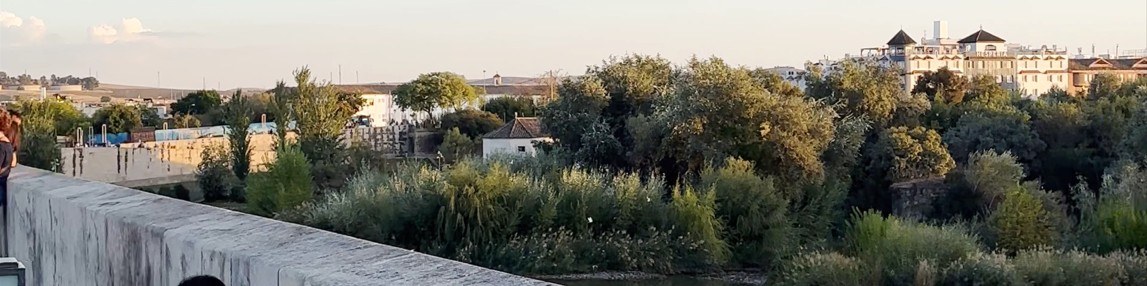 Roman Bridge of Córdoba