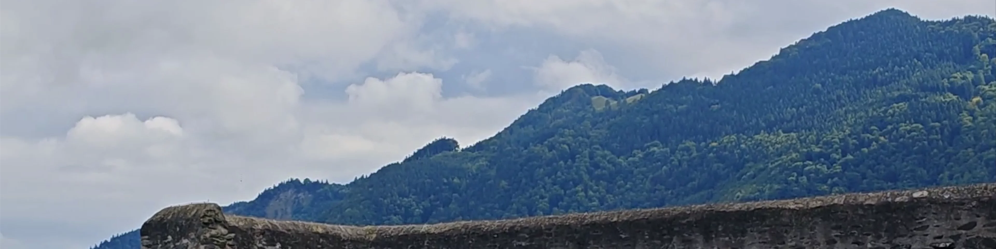 Burg Gutenberg