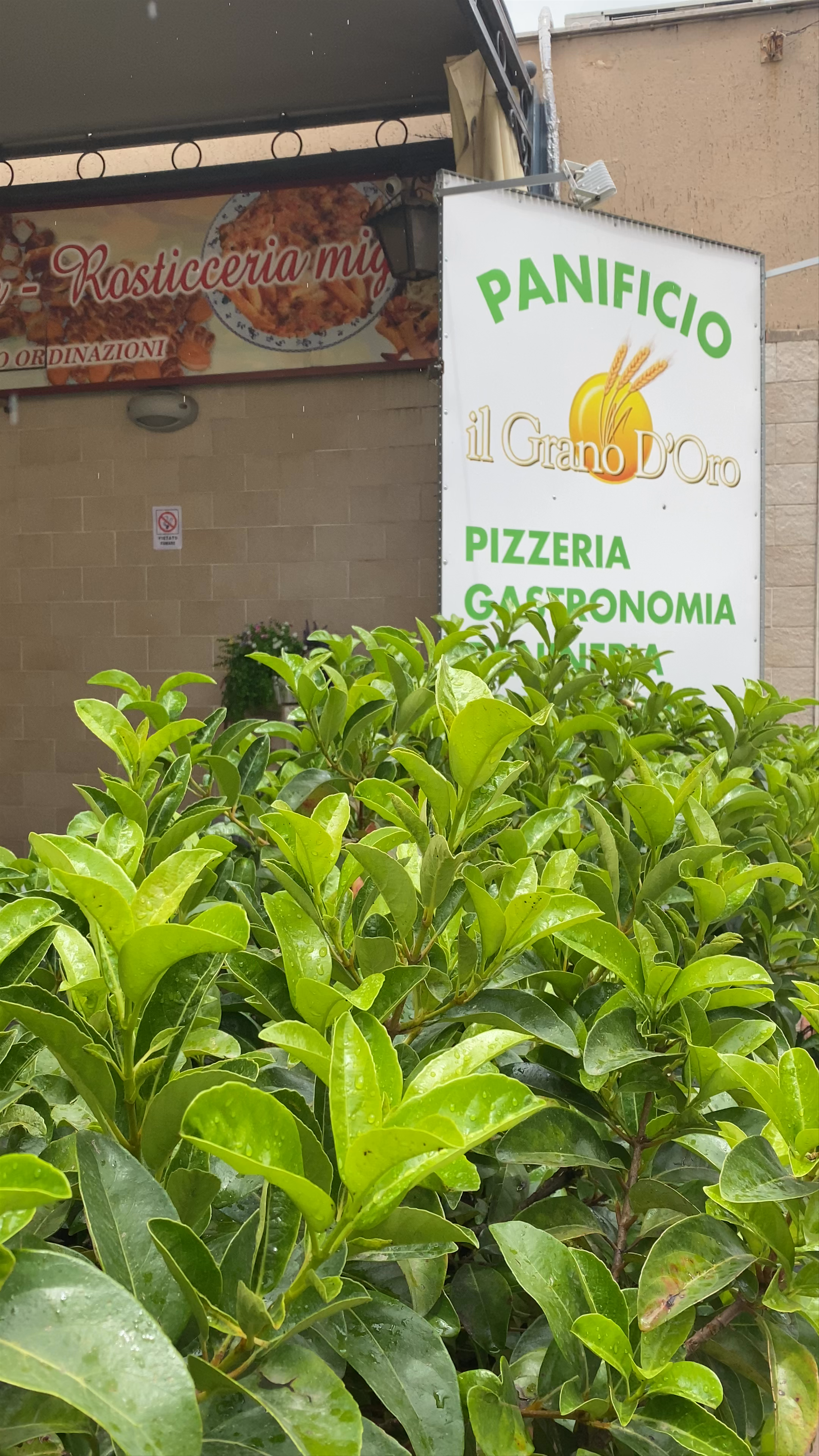 Il Grano D'Oro