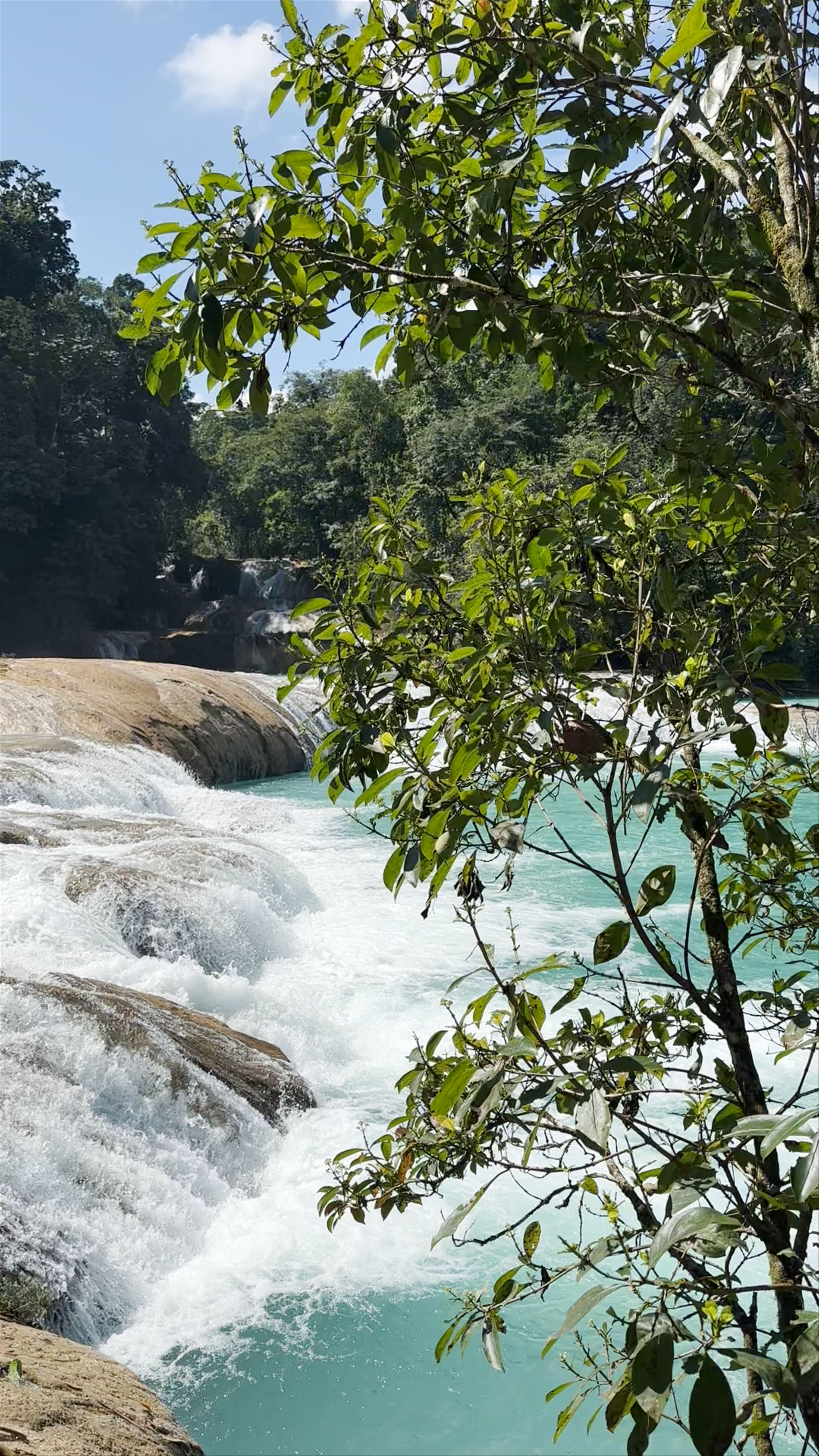 Cascada de Agua Azul
